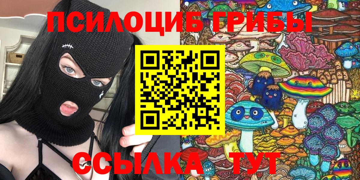 Галлюциногенные грибы Magic Shrooms Вышний Волочёк