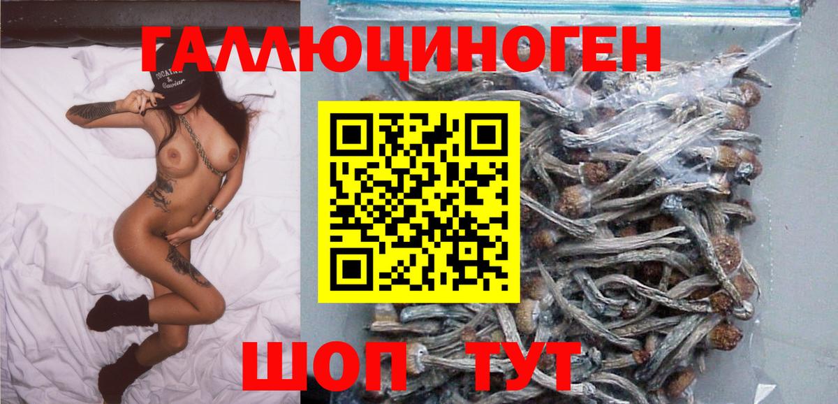 Вышний Волочёк  Галлюциногенные грибы Psilocybe  Вход с VPN 